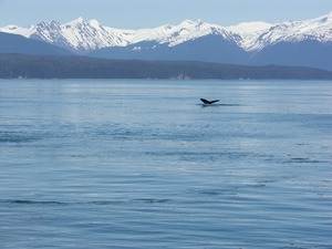 ALASKAcruise Icy Strait Point (60)