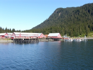 ALASKAcruise Icy Strait Point (89)