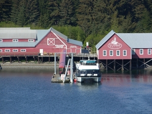 ALASKAcruise Icy Strait Point (90)