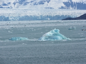 ALASKAcruise Hubbard Glacier (12)