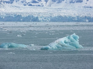 ALASKAcruise Hubbard Glacier (13)