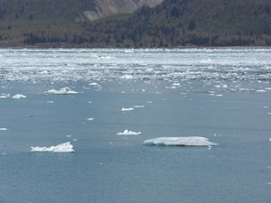 ALASKAcruise Hubbard Glacier (19)