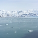 ALASKAcruise Hubbard Glacier (20)