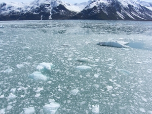 ALASKAcruise Hubbard Glacier (25)