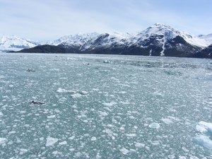 ALASKAcruise Hubbard Glacier (26)