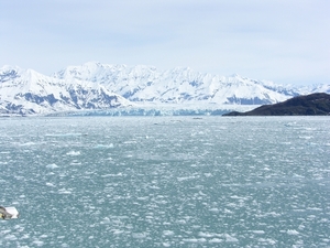 ALASKAcruise Hubbard Glacier (27)