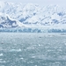 ALASKAcruise Hubbard Glacier (28)