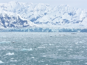 ALASKAcruise Hubbard Glacier (28)