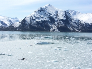 ALASKAcruise Hubbard Glacier (29)