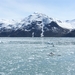 ALASKAcruise Hubbard Glacier (31)