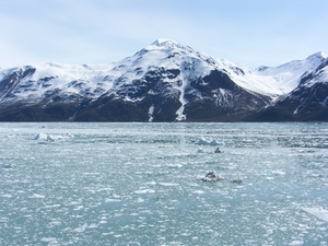 ALASKAcruise Hubbard Glacier (31)