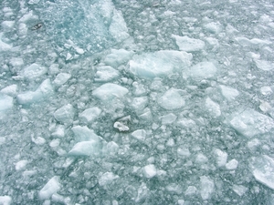 ALASKAcruise Hubbard Glacier (38)