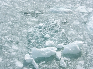 ALASKAcruise Hubbard Glacier (41)