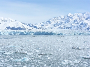 ALASKAcruise Hubbard Glacier (48)