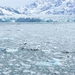 ALASKAcruise Hubbard Glacier (49)