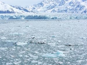 ALASKAcruise Hubbard Glacier (49)