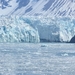 ALASKAcruise Hubbard Glacier (50)