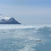 ALASKAcruise Hubbard Glacier (51)