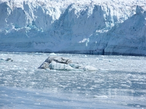 ALASKAcruise Hubbard Glacier (53)