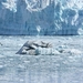 ALASKAcruise Hubbard Glacier (55)