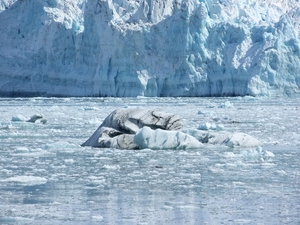 ALASKAcruise Hubbard Glacier (55)