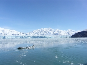 ALASKAcruise Hubbard Glacier (62)