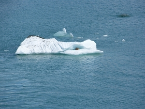 ALASKAcruise Hubbard Glacier (70)