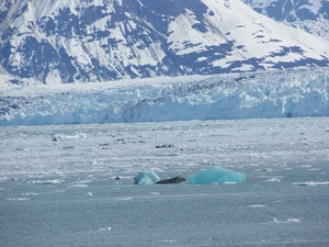 ALASKAcruise Hubbard Glacier (9)