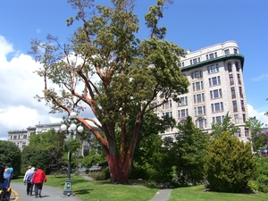 ALASKAcruise Victoria BC (18)