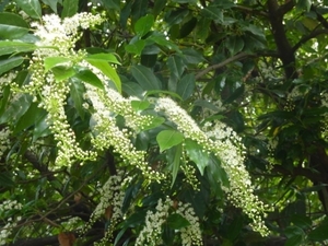 P1080917