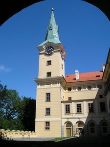 P8051491