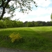 Landschap