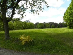 Landschap