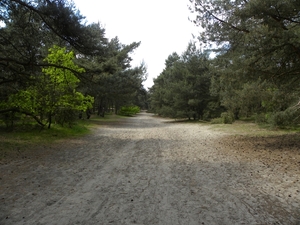 Op weg naar
