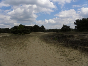 Sahara