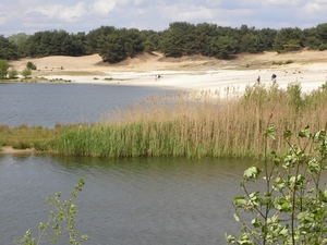 Sahara in Lommel