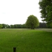 Landschap
