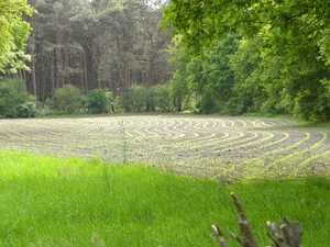 Ploegwerk