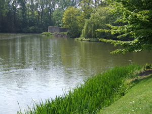 achteraan  de Bourgondische toren