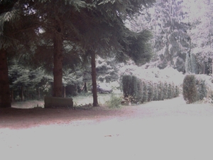 Afbeelding 010