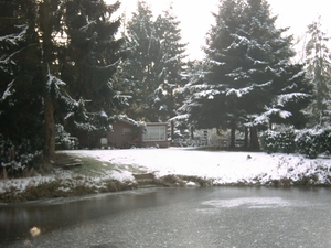 Afbeelding 021