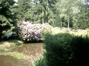 Afbeelding 069