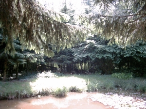 Afbeelding 076_edited
