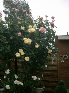 DSCW0025