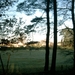 IMAGE0005.JPG