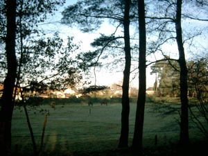 IMAGE0005.JPG