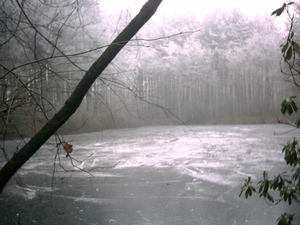 IMAGE0006.JPG