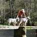 camping Allariz    Rivier Arnoia (Noord Spanje)