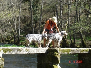camping Allariz    Rivier Arnoia (Noord Spanje)