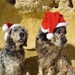 Kerst 2007